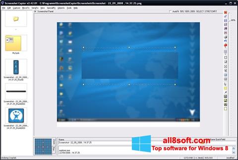스크린 샷 ScreenShot Windows 8