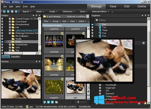 스크린 샷 ACDSee Photo Manager Windows 8