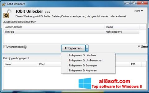 스크린 샷 IObit Unlocker Windows 8