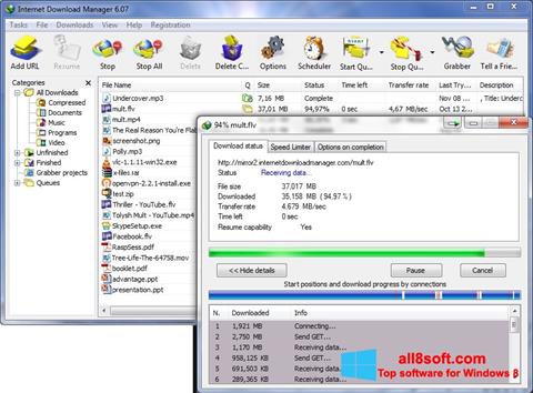 스크린 샷 Internet Download Manager Windows 8