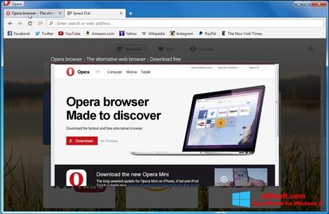 스크린 샷 Opera Developer Windows 8