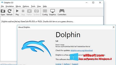 스크린 샷 Dolphin Windows 8