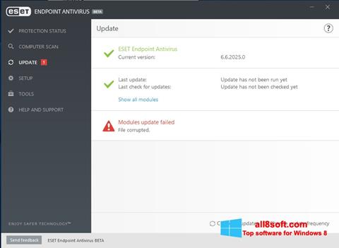 스크린 샷 ESET Endpoint Antivirus Windows 8