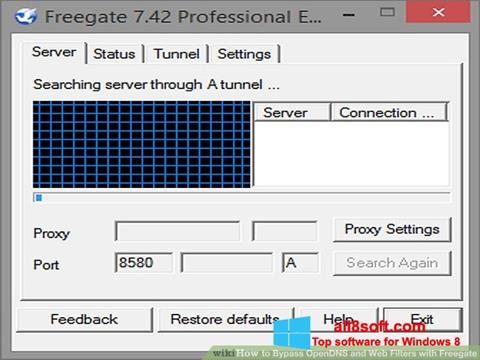 스크린 샷 Freegate Windows 8