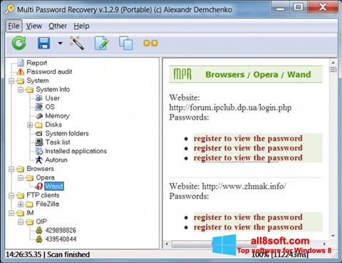 스크린 샷 Multi Password Recovery Windows 8