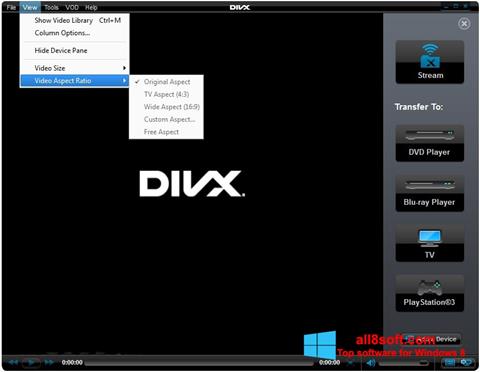스크린 샷 DivX Player Windows 8