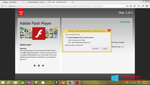 스크린 샷 Adobe Flash Player Windows 8