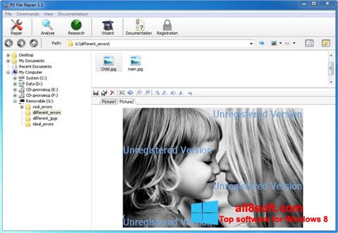 스크린 샷 File Repair Windows 8