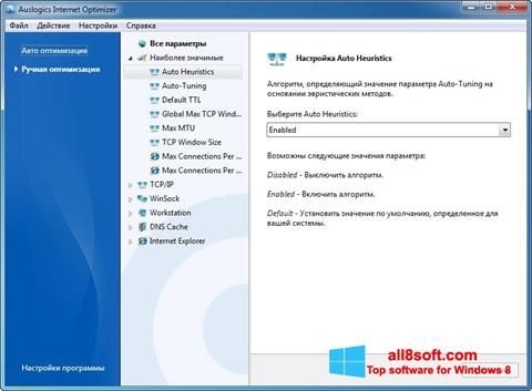 스크린 샷 Auslogics Internet Optimizer Windows 8
