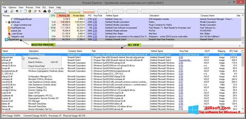 스크린 샷 Process Explorer Windows 8