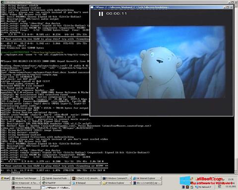 스크린 샷 MPlayer Windows 8