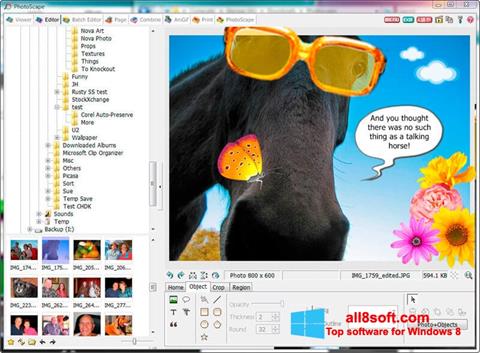 스크린 샷 PhotoScape Windows 8