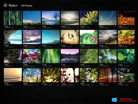 스크린 샷 Picasa Photo Viewer Windows 8