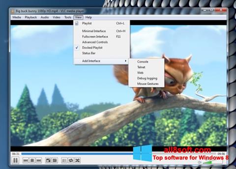 스크린 샷 VLC Media Player Windows 8